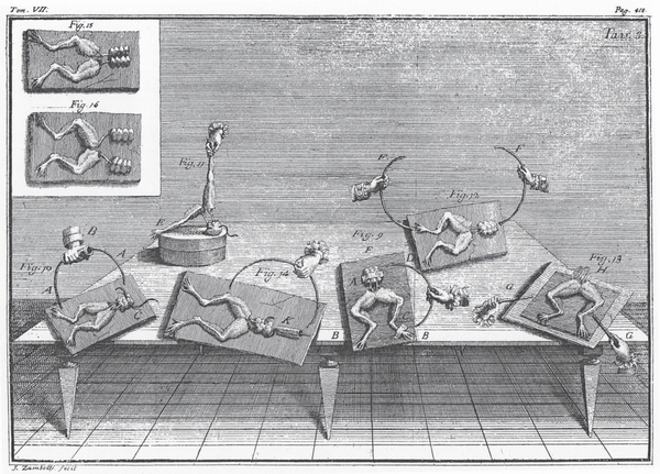 Gambar 4. Adalah pembedahan katak Luigi Galvani sebagai awal sejarah baterai